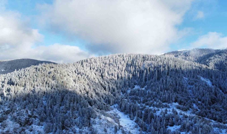 Beyaza bürünen Ilgaz Dağının eteklerindeki yaylalarda kartpostallık görüntüler ortaya çıktı