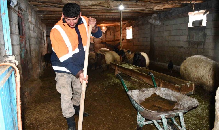 Beytüşşebapta besicilerin zorlu kış mesaisi sürüyor