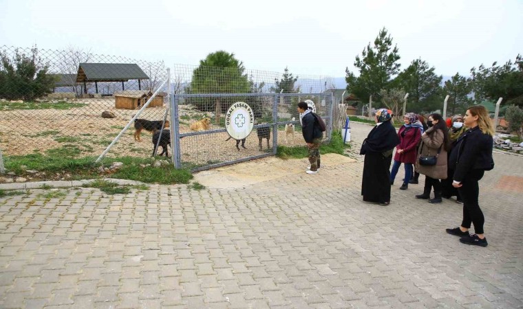 Büyükşehir Geçici Hayvan Bakımevine ziyaretçi akını