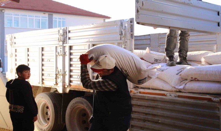 Büyükşehirden, 68 üreticiye 2061 çuval daha süt yemi desteği