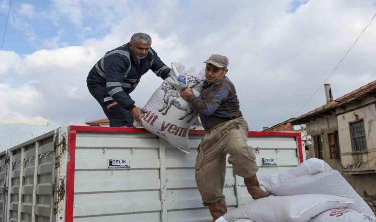 Büyükşehirden üreticiye yem desteği