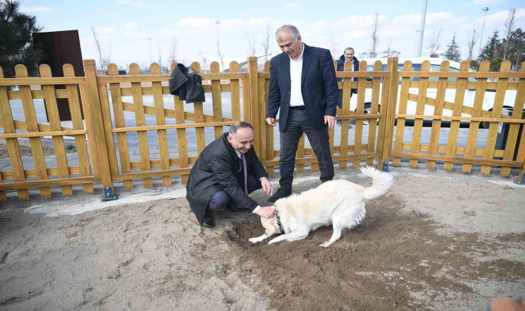 Büyükşehirin köpek eğitim parkuru Mİllet Bahçesinde hizmete hazır