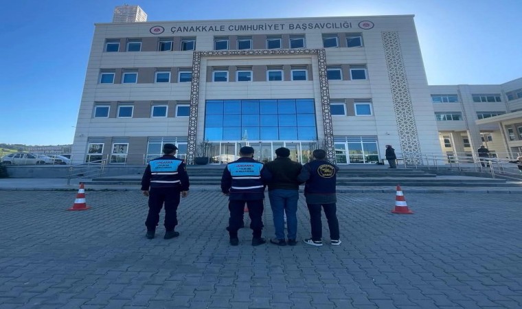 Çanakkalede 1 koç ve 3 koyun çalan 2 şüpheli jandarma tarafından yakalandı