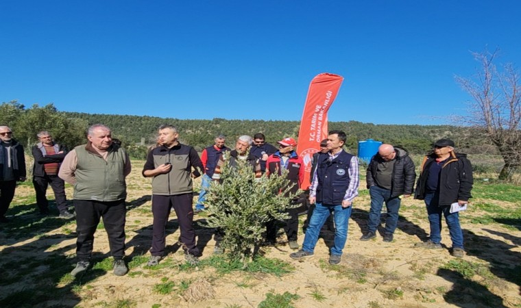 Çanakkalede Zeytin Yetiştiricilerine eğitim verildi