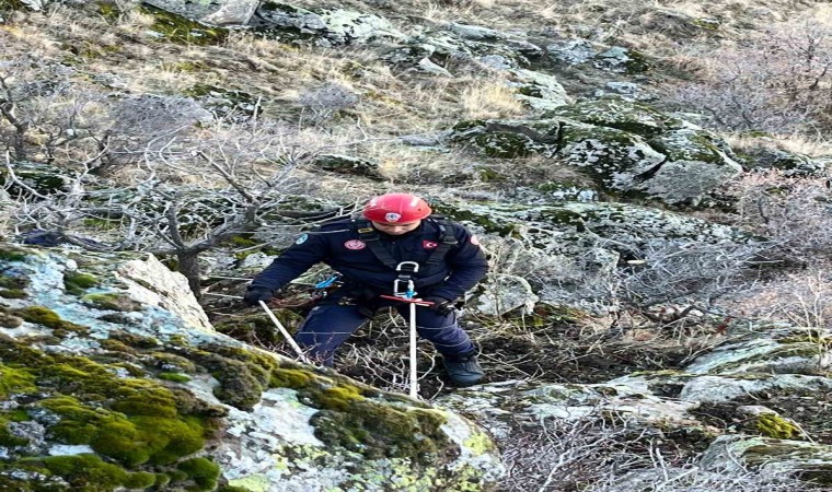 Dağlık alanda uçuruma yuvarlanan 5 keçiyi itfaiye kurtardı