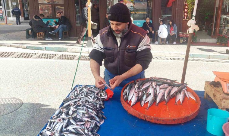 Denizden çıkan balık azaldı, fiyatlar arttı