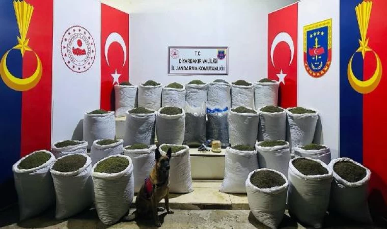 Diyarbakır’da 611 kilo esrar ele geçirildi