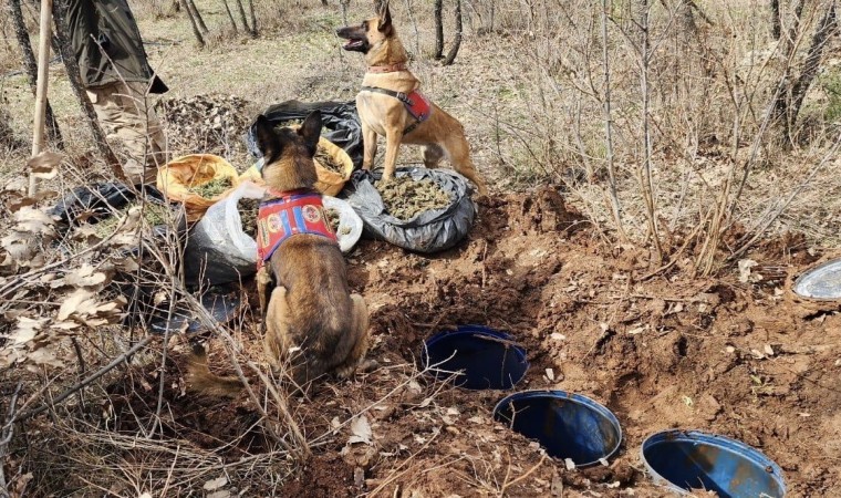 Diyarbakırda jelikan bidon içerisine saklanmış 43 kilo esrar ele geçirildi