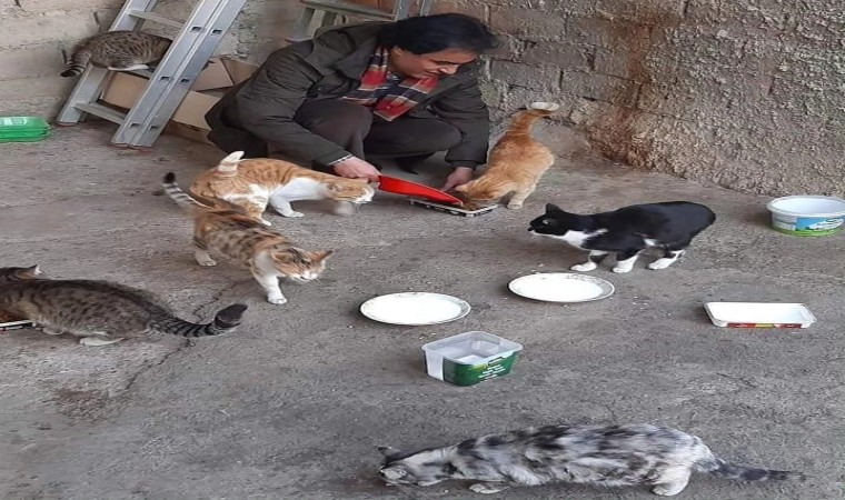 Elazığda hayvan sever vatandaş ,sokak hayvanlarına gözü gibi bakıyor