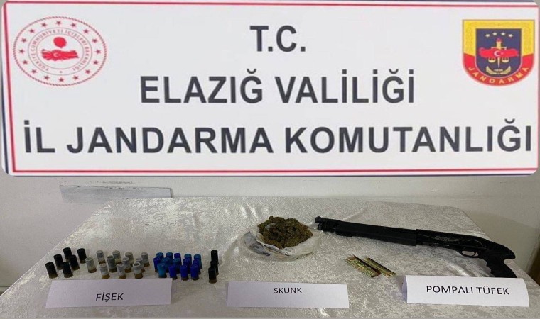 Elazığda ruhsatsız silahlar ele geçirildi