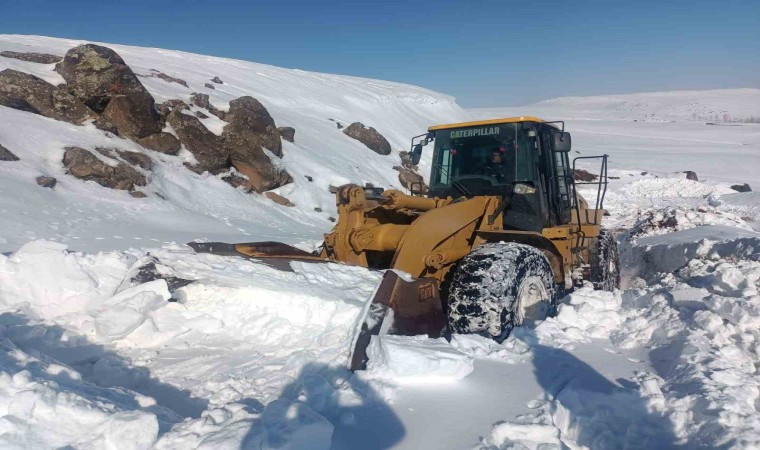 Ercişte tipiden kapanan yollar açılıyor