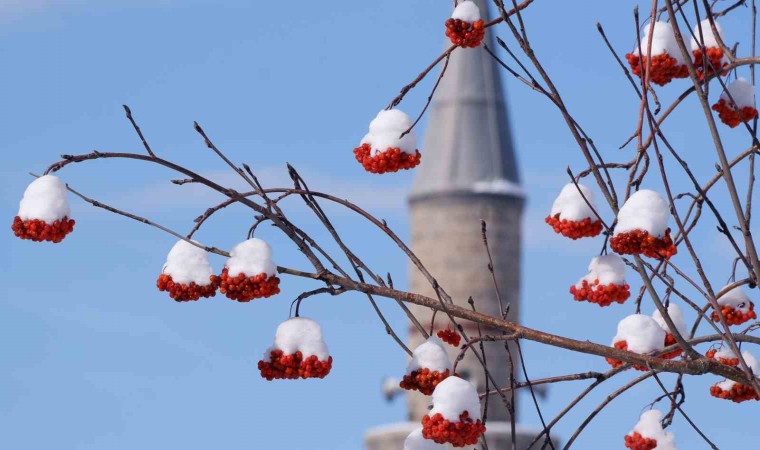 Erzurum hafta sonuna kadar kar yağışı bekleniyor