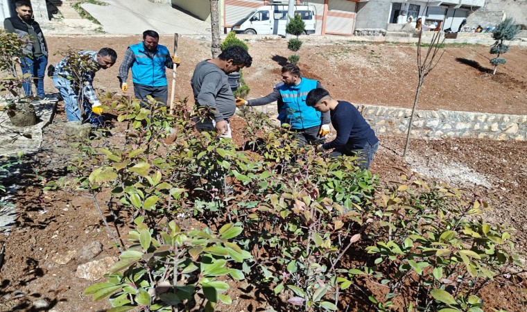 Eyyübiyede ağaçlandırma ve yeşillendirme çalışmaları sürüyor