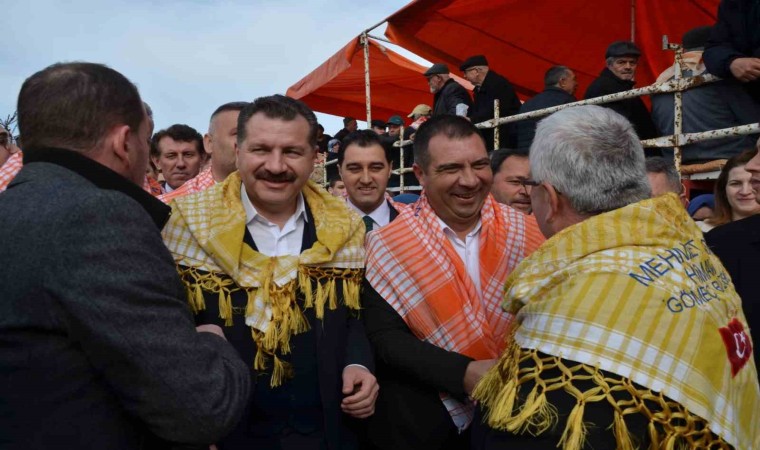 Gömeçte 14. Geleneksel Karaağaç Deve Güreşlerine yoğun ilgi