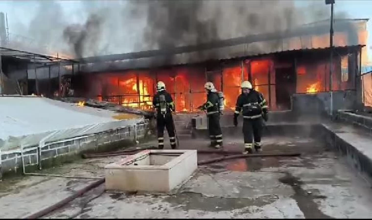 Güvercin otelinde çıkan yangında 300 kuş öldü