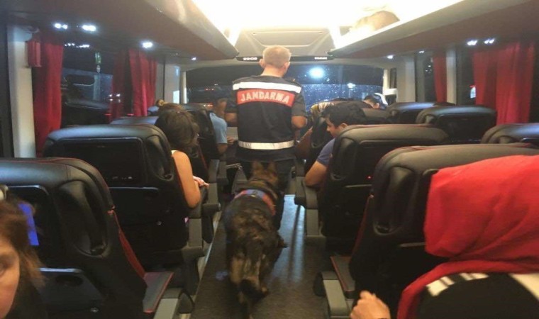 Huzur güven uygulamasında 10 aranan şahıs yakalandı