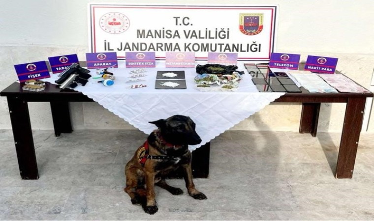 Jandarma Manisada zehir tacirlerine göz açtırmıyor: 62 gözaltı