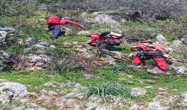 Kayalıklarda mahsur klan keçi ve yavrusunu AKUT ekibi kurtardı