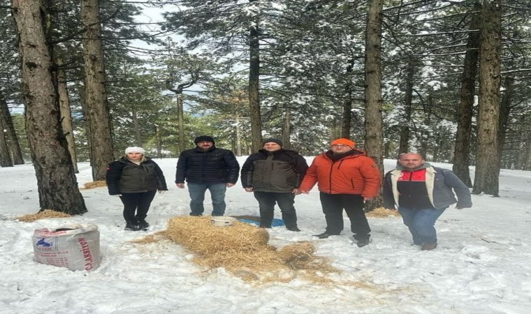 Kazdağlarında kar yağışı ve aşırı soğuk nedeniyle yaban hayvanları için yem bırakıldı