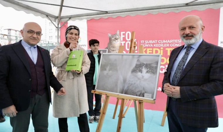 Kocasinanda Kedi Temalı Fotoğraf Yarışmasında kazananlar ödüllerini aldı