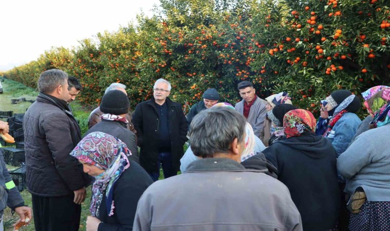 Kozan Belediyesinden narenciye işçilerine moral desteği