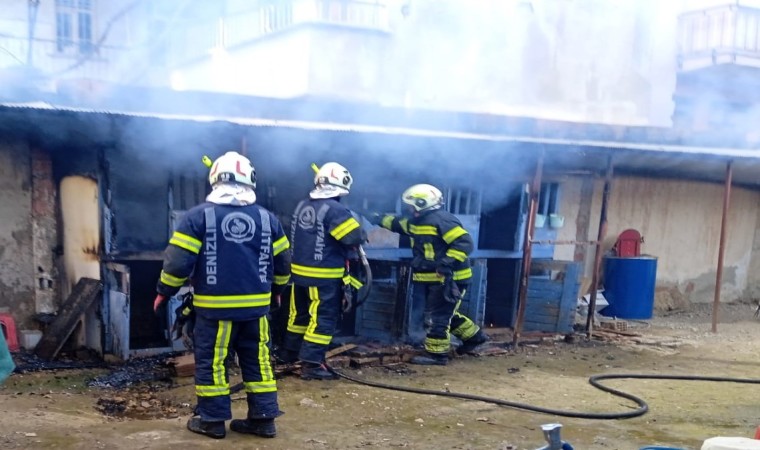 Kümesteki hayvanları yoldan geçen vatandaşların dikkati kurtardı