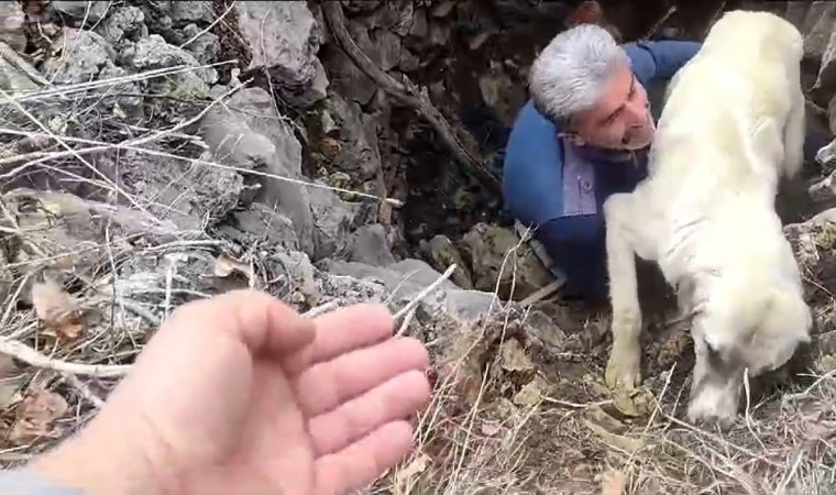 Kuyuya düşen köpeğe vatandaştan yardım eli