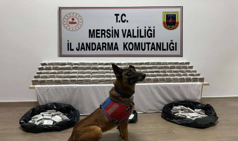 Mersinde 61 bin 700 adet kaçak makaron ele geçirildi