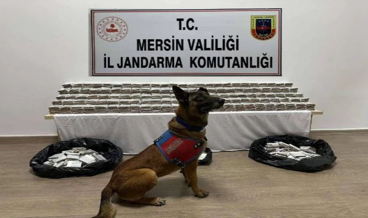 Mersin’de 61 bin 700 kaçak makaron ele geçirildi