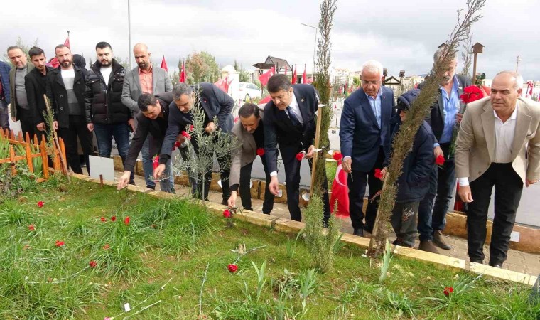 Milletvekili Tutdere, depremde ölenlerin mezarlarına karanfil bıraktı