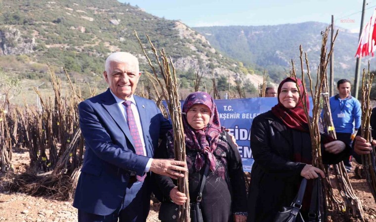 Muğla Büyükşehir Belediyesi 53 bin adet meyve fidanı dağıtıyor