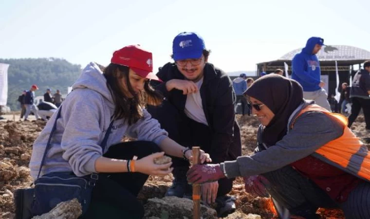 Muğla’da eski maden sahasına 2 bin fidan dikildi