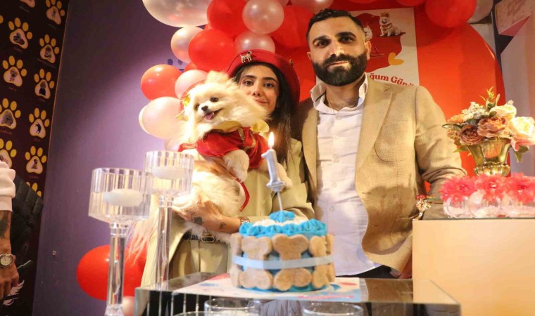 Nişanlı çift hayvanlara şiddete karşı farkındalık oluşturmak için köpeklerine doğum günü kutlaması düzenledi