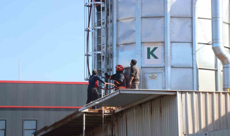 Orman ürünlerinin üretildiği fabrikanın silo bölümünde yangın