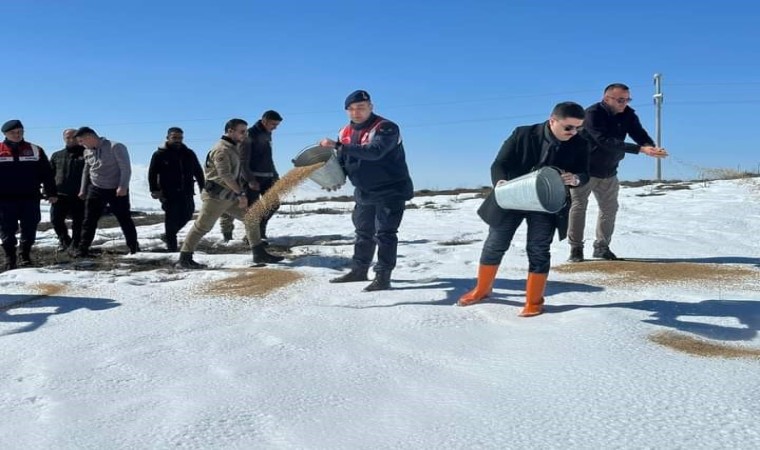 Özalp ilçesinde sokak ve yaban hayvanları için yem bırakıldı