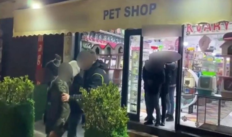 Pet shopta düzensiz göçmen operasyonu