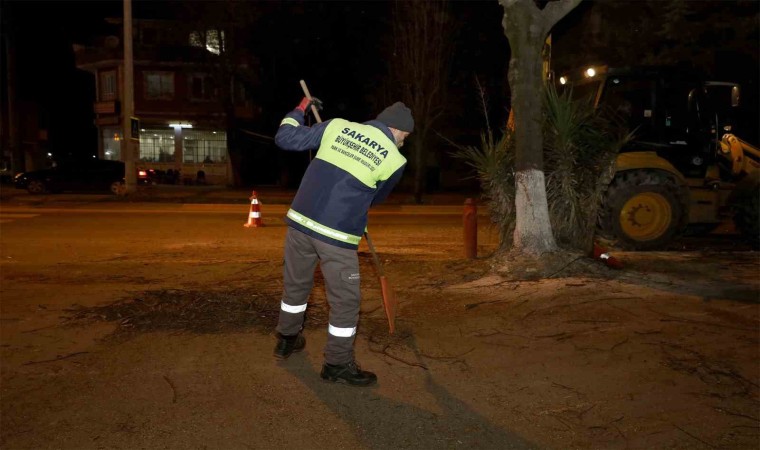 Sakaryanın sembol noktalarına estetik dokunuş