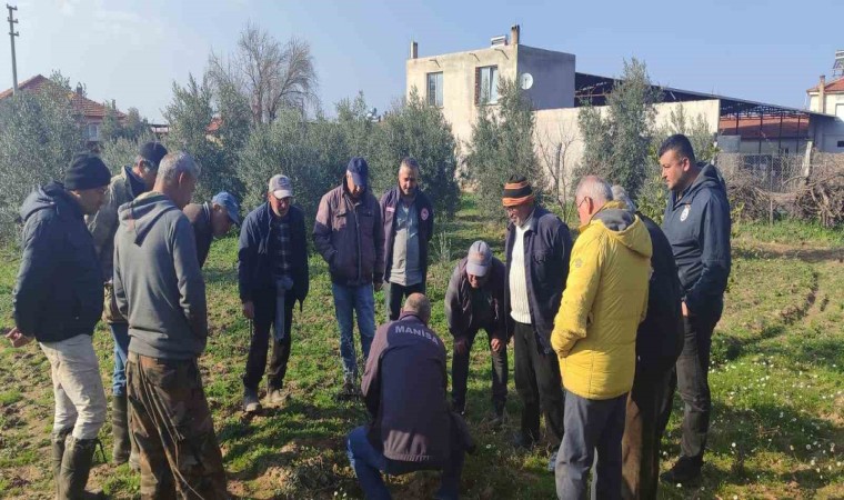 Salihlide çiftçilere uygulamalı budama eğitimi