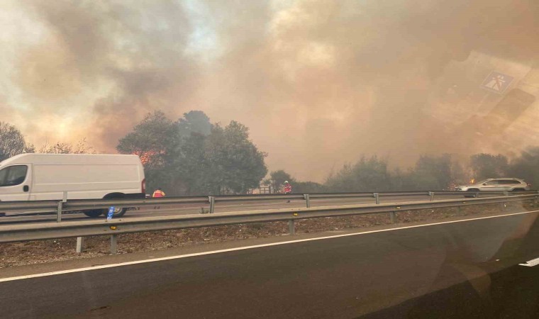 Şilideki orman yangınlarında 10 kişi öldü, OHAL ilan edildi