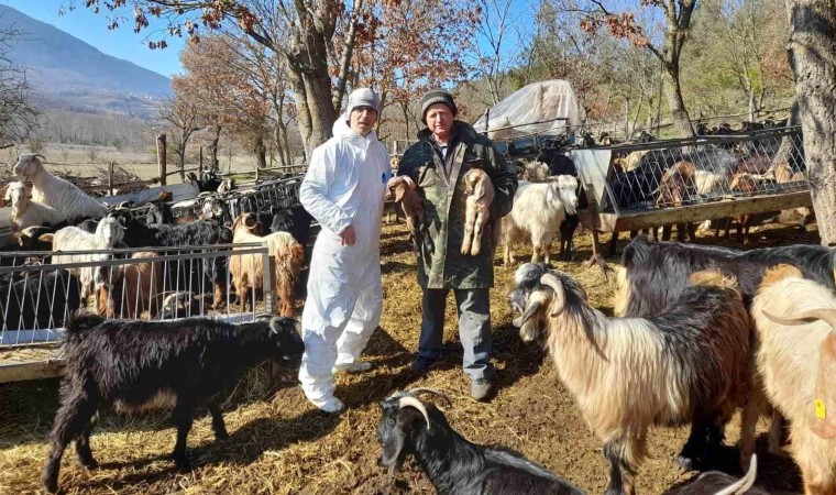 Simavda çoban tespitleri yapılıyor