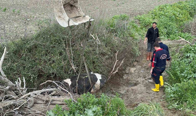 Su kanalına düşen inek, itfaiye ekipleri tarafından kurtarıldı