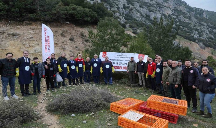 Tarım zararlılarıyla mücadele için doğaya keklik salındı