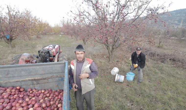 Tarlada çalışan babaya dron şakası gülme krizine soktu