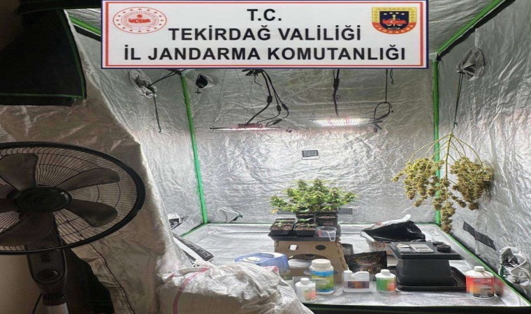 Tekirdağda 5 kişi uyuşturucudan yakalandı