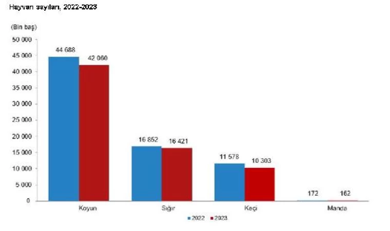 TÜİK: Büyükbaş ve küçükbaş sayısı 2023’te azaldı