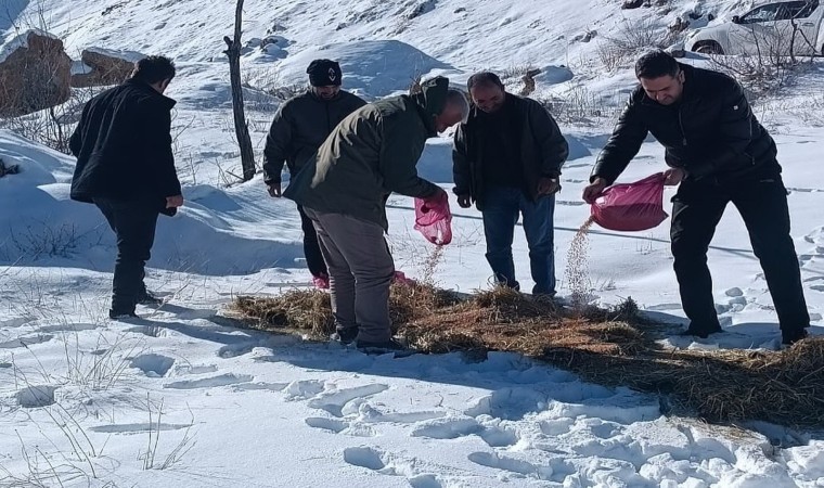 Yaban hayvanları unutulmadı