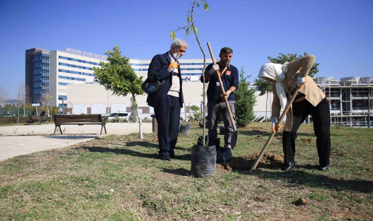 Yaşlılar tedavi gördükleri hastanenin bahçesine fidan dikti