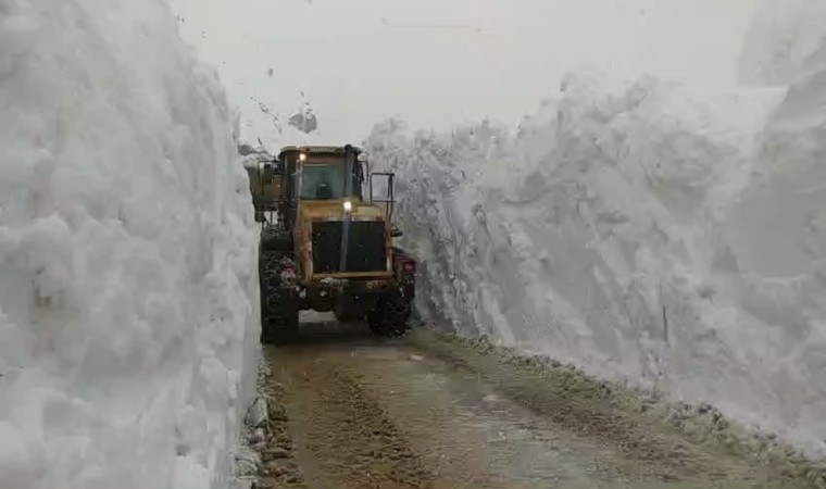 Yüksekovada 5 metrelik kar tünelinde çalışma