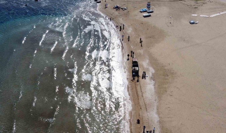 Zehirli sakın dokunmayın: Denizanaları sahilden toplanıyor