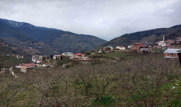 34 yıl sonra yeniden Giresuna bağlanıyorlar